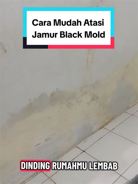 Atasi Black Mold di Dinding Hanya dengan Dilapisi Cat ... - detikcom - muktibox.com