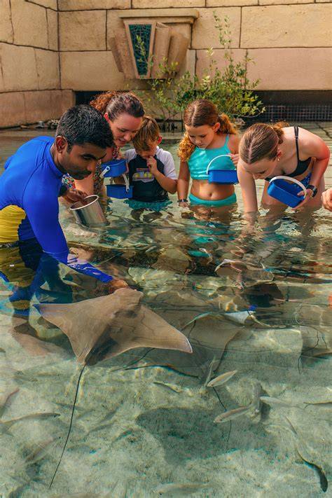 Atlantis Dubai announces continued AZA Accreditation ... - ZAWYA - raincitystudios.com