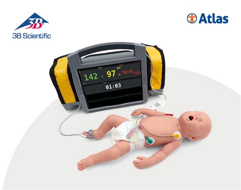 codini.rgarabwor.edu.pl. 