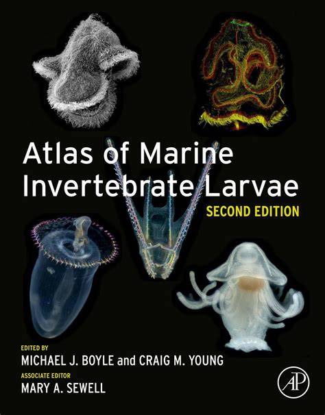 Atlas of Marine Invertebrate Larvae - Google Books - raincitystudios.com