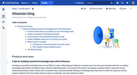 Atlassian Documentation - coolestguyplanet.net