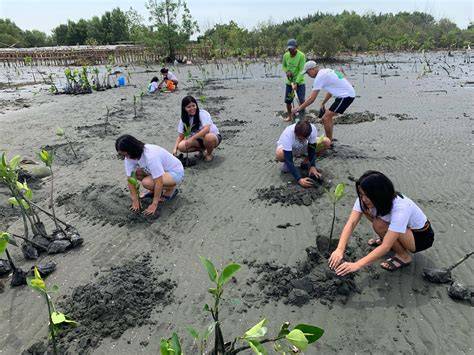 AtmosTalk: Upscaling Mangrove Restoration Activities into Investable ... - raincitystudios.com