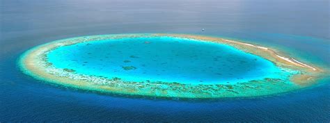 Atolls & Coral Formation: Thrilling Insights into Ringed … - muktibox.com