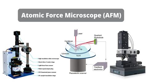 Atomic Force Microscope: A Tool for Studying Ionophores - wintechmobiles.com