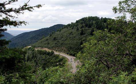 Attractions in the National Forest - raincitystudios.com