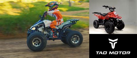 ATVs and UTVs for sale by Howell Cycle Powersports - ATVHunt