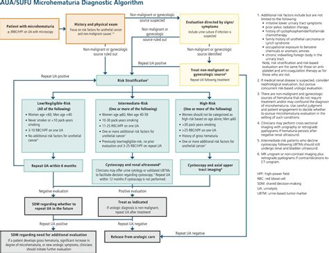 AUA/SUFU Guideline - American Urological Association - muktibox.com