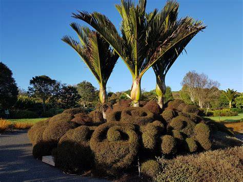 Auckland Botanic Gardens - raincitystudios.com