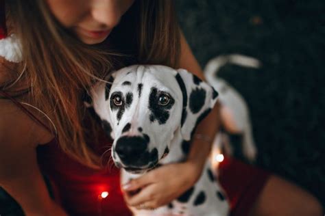 Audition Songs for 101 Dalmatians KIDS | Theatre Trip - muktibox.com