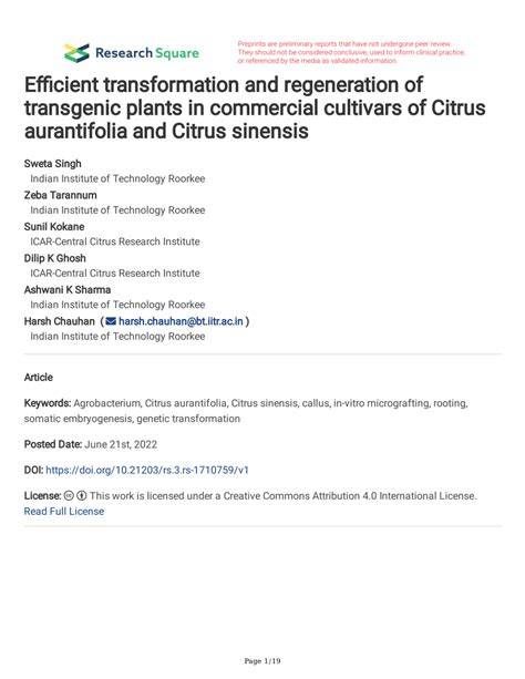 aurantifolia and Citrus sinensis transgenic plants in commercial ... - raincitystudios.com