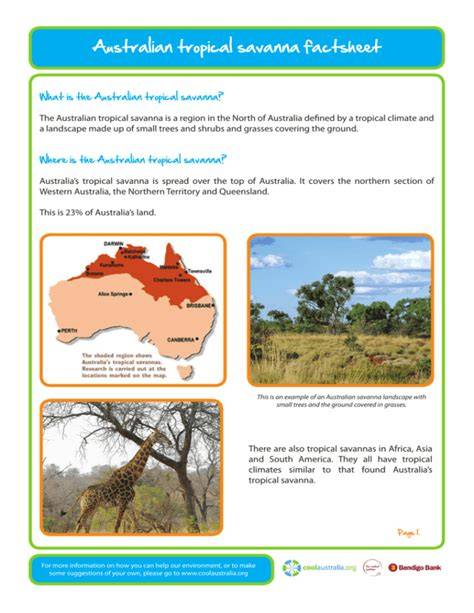 Australian tropical savanna factsheet - raincitystudios.com