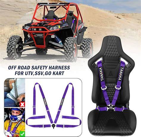 Auto Racing Safety Belts & Harnesses for sale | eBay - raincitystudios.com