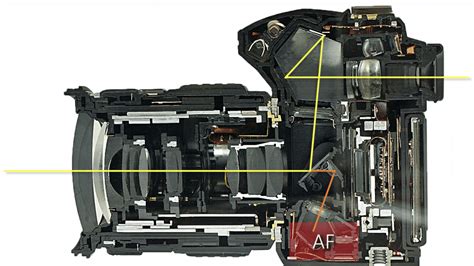 autofocus adalah - elchoricharrua.com
