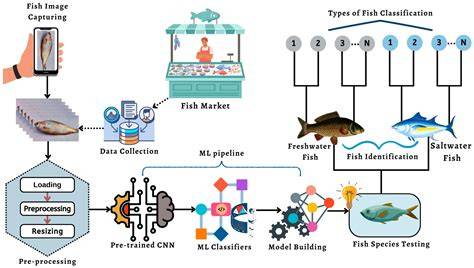 Automatic Identification of Fish Species using Machine Learning - raincitystudios.com