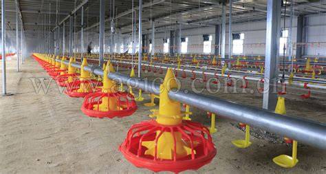 Automation of Poultry Feeding System. - coolestguyplanet.net