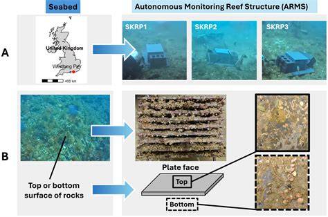 Autonomous reef monitoring structures as a tool for assessing UK marine ... - raincitystudios.com