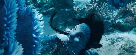 AVATAR 2 Cały Film CDA Dubbing PL 1080p