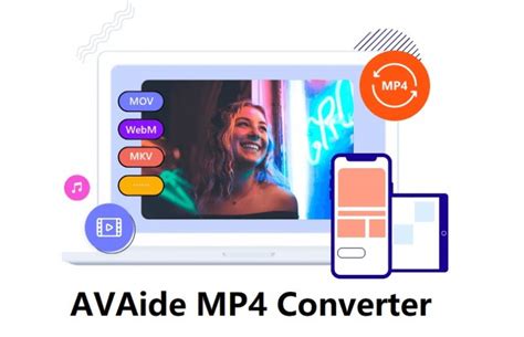 AVAide MP4 Converter 