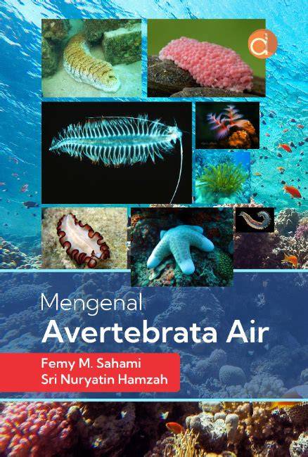 AVERTEBRATA AIR - raincitystudios.com