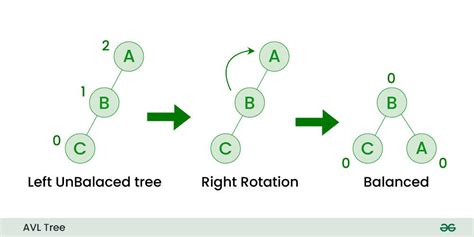 AVL Tree Visualzation - University of San Francisco - coolestguyplanet.net