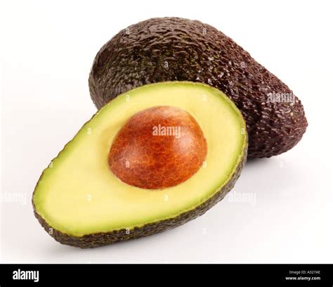 Avocado - Persea americana | Plants - Kew - raincitystudios.com