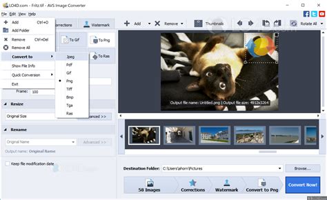 AVS Image Converter for Windows