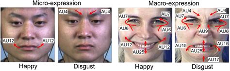 Awesome Micro-Expression Recognition - GitHub - coolestguyplanet.net