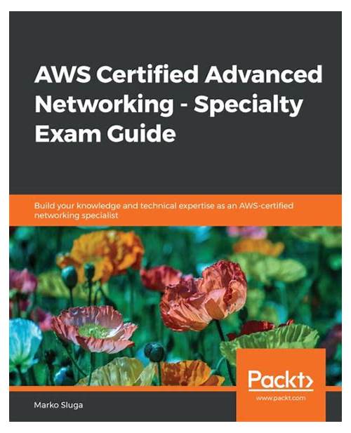 th?w=500&q=AWS%20Certified%20Advanced%20Networking%20Specialty%20Exam