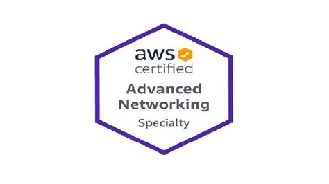 AWS-Advanced-Networking-Specialty Online Prüfung