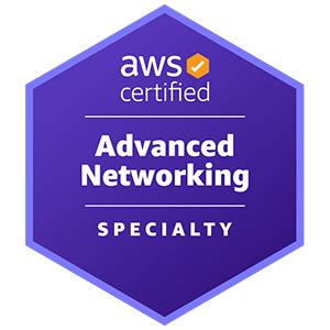 AWS-Advanced-Networking-Specialty Prüfungs Guide