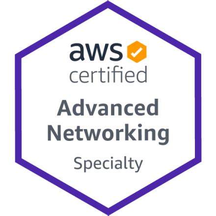 AWS-Advanced-Networking-Specialty Visual Cert Test