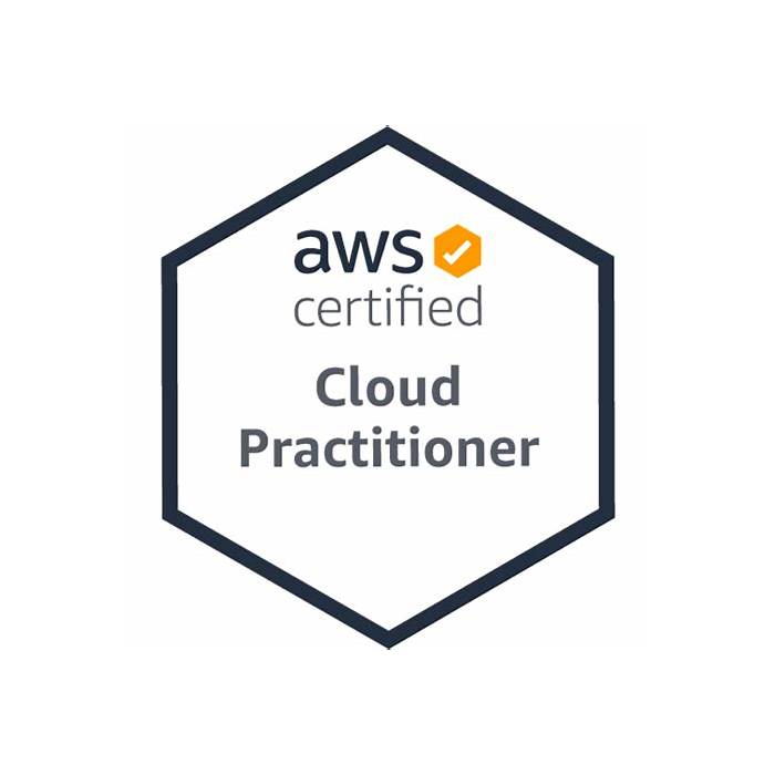 AWS-Certified-Cloud-Practitioner Testking
