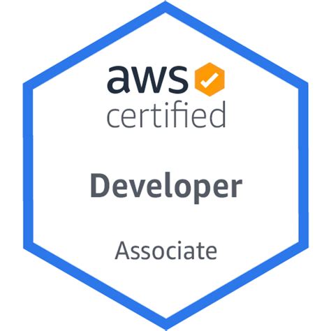 AWS-Certified-Developer-Associate Testking