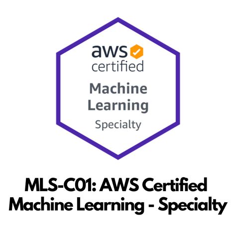 AWS-Certified-Machine-Learning-Specialty Ausbildungsressourcen