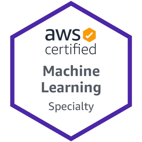 AWS-Certified-Machine-Learning-Specialty Online Praxisprüfung