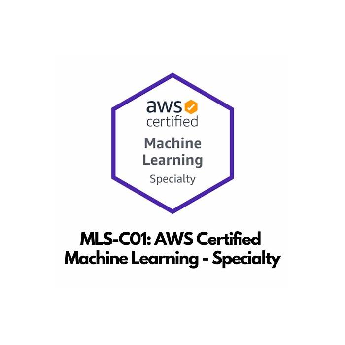 AWS-Certified-Machine-Learning-Specialty Prüfungsübungen