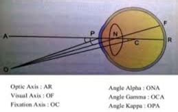 AXES AND ANGLES OF THE EYE - Optography