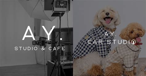 codini.rgarabwor.edu.pl. 