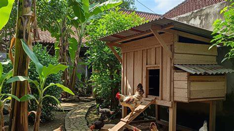 Ayam Murah Ld - raincitystudios.com