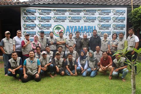 Ayamaru Sertifikasi - raincitystudios.com