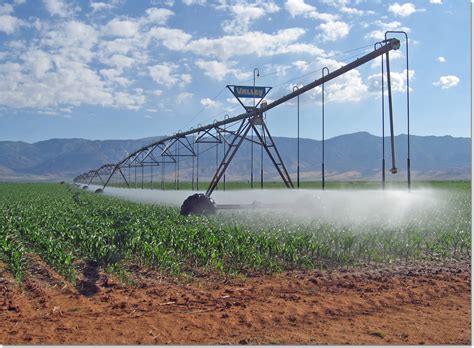 AZ Irrigation & Maintenance Northern Arizona Irrigation Services