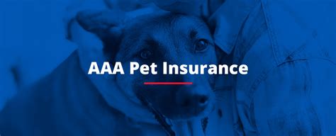 Aaa Pet Insurance Reviews