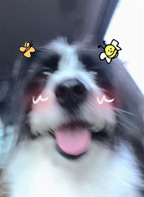 🍑 Aaaagnes Onlyfans Leaked [SEX VIDEO] 186 Photos