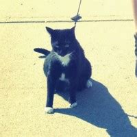 🍌 PORN Aahmands_ Leaks