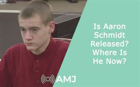 Aaron schmidt released. Jonathan Schmitz killed Scott Amedure in 1995 after Amedure revealed feelings about him on a never-aired episode of "The Jenny Jones Show." LAKE ORION, Mich. – The man convicted of shooting and ... 