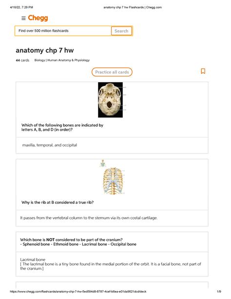 Aba 1 Chapter 28 terms Flashcards Chegg.com