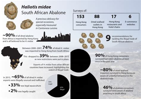 Abalone Report Infographic