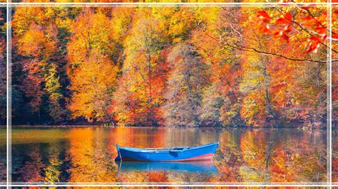 codini.rgarabwor.edu.pl. 