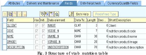 Abap Dictionary Used in Web Dynpro Application