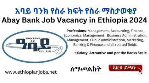 Abay Bank New Job Vacancy in Ethiopia 2024 - ETHIO-JOBS.NET